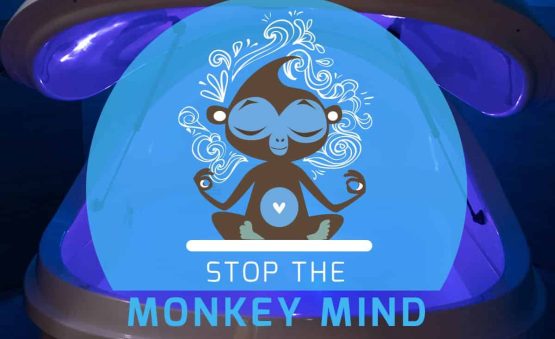 float therapy monkey mind