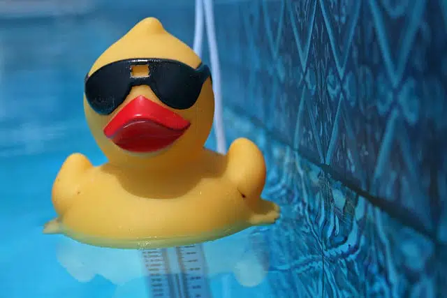 Yellow rubber duck wearing black sunglasses floating in clear blue water—symbolizing relaxation and fun before a True REST Float Spa session